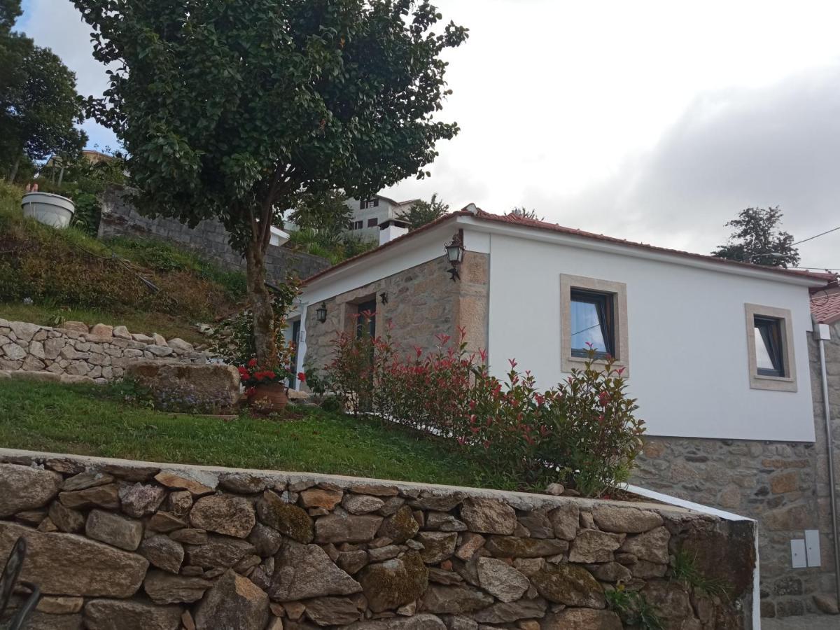 Casa Tia Vina - Serra Arouca Exteriör bild