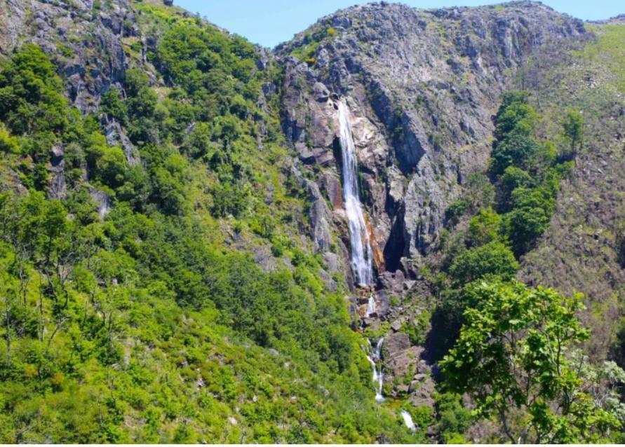 Casa Tia Vina - Serra Arouca Exteriör bild