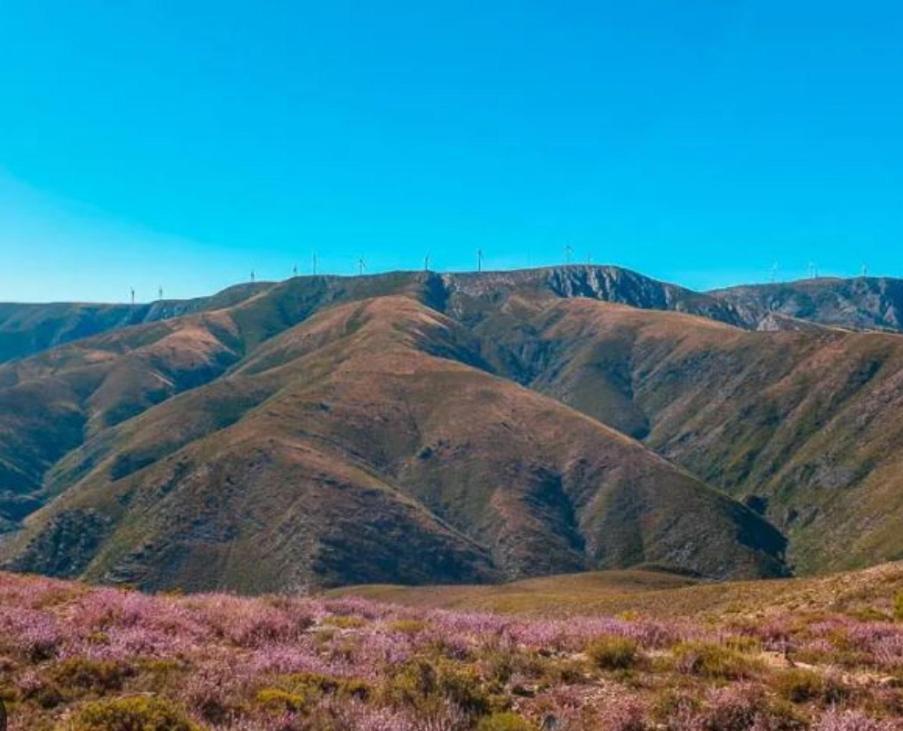 Casa Tia Vina - Serra Arouca Exteriör bild